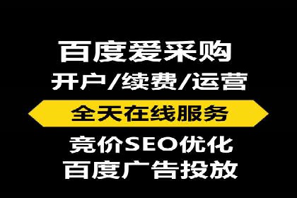 百度竞价推广成功案例解析